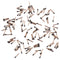 100 vis de port de charge PCS pour iPhone 11/11 Pro / 11 Pro Max (or)